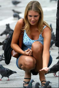 Public Up Skirt Photos gallery candid upskirt panty oops exhib public set students caught places voyeur views